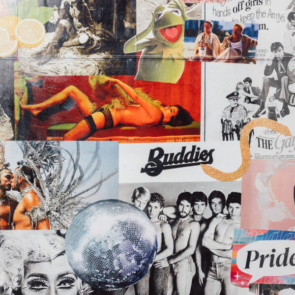 venue artwork of portrait bar gay and lesbian friendly queer bar brisbane with kermit the frog